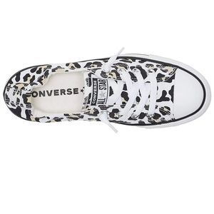 Cheetah Converse